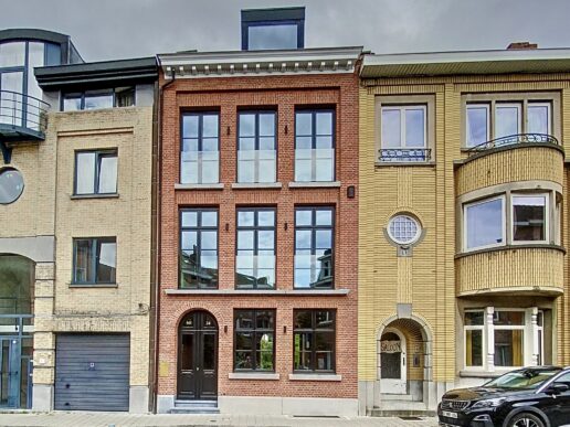 Leuven_Herenhuis (35)