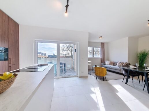 Sint-Gillis-Waas_HomeStaging (7)