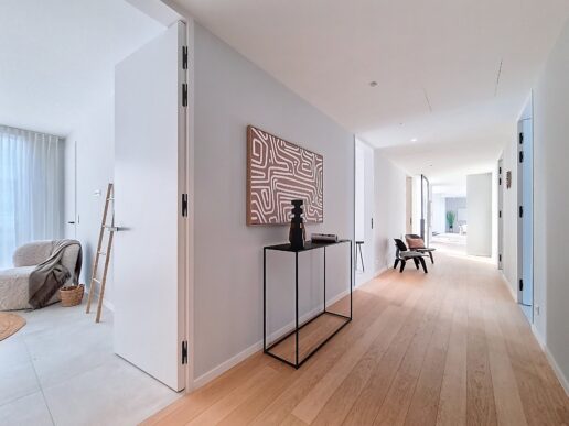 Antwerpen_Cellebroedersstraat (5)