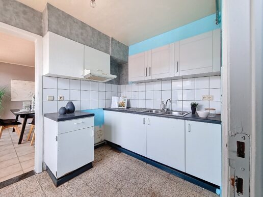 Vorst_Korenbloem (5)