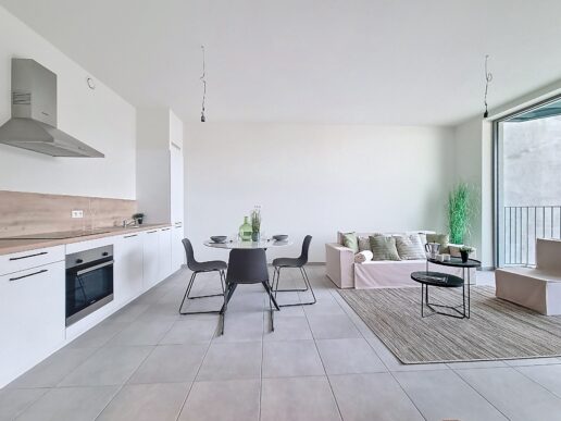 Apen_Plantin&Moretusstraat (10)