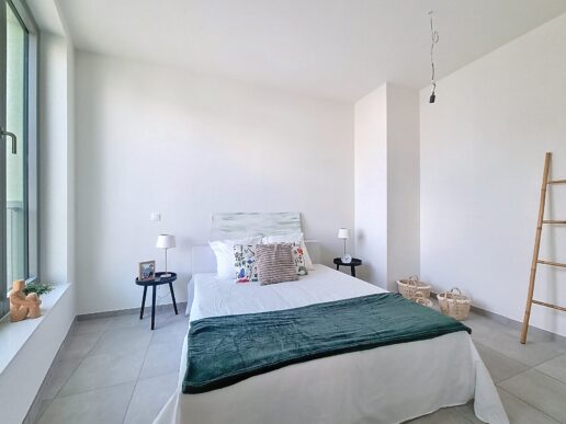 Apen_Plantin&Moretusstraat (3)