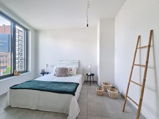 Apen_Plantin&Moretusstraat (4)