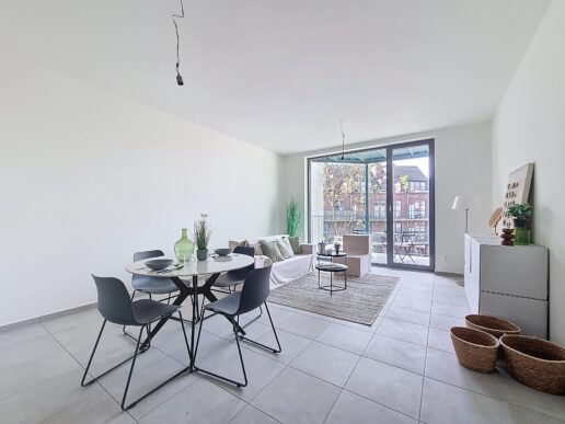 Apen_Plantin&Moretusstraat (5)