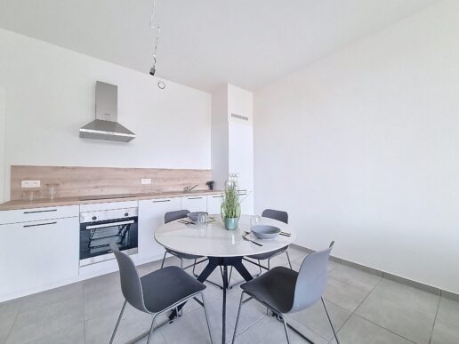 Apen_Plantin&Moretusstraat (6)