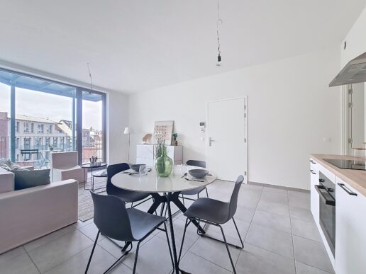 Apen_Plantin&Moretusstraat (7)