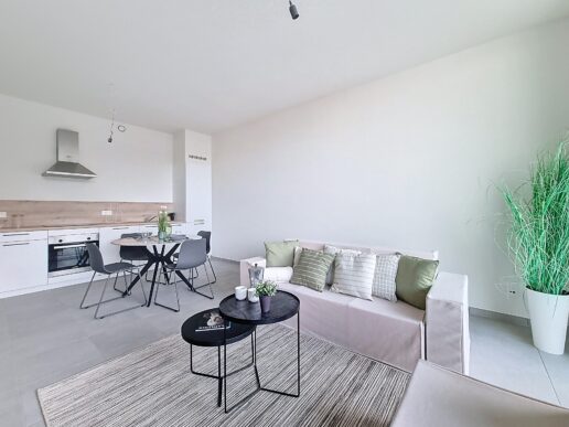 Apen_Plantin&Moretusstraat (8)