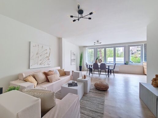 Brugge_Vastgoedstyling2deV (16)