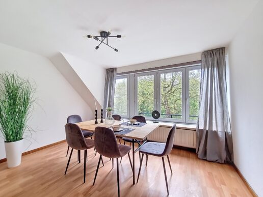 Brugge_Vastgoedstyling2deV (4)