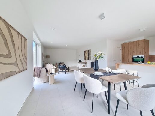 Herzele_Vastgoedstyling (4)
