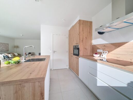 Herzele_Vastgoedstyling (6)