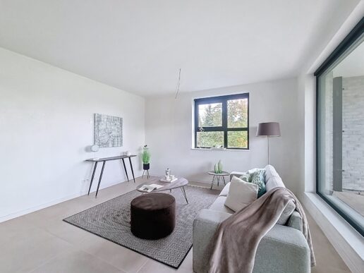 Lommel_B21 (1)