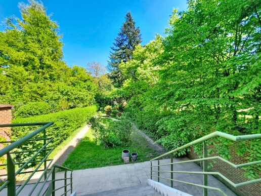 Coghen_Uccle (18)