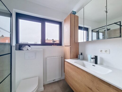 Londerzeel_Real estate styling (11)