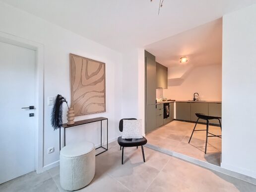 Londerzeel_Real estate styling (5)