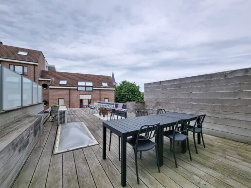 Dilbeek_Ninoofsesteenweg (7)