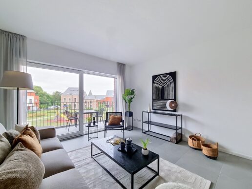 Ciney_Appartement_Témoin (1)