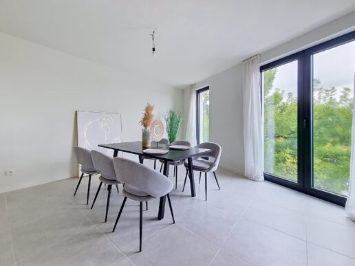 Brasschaat_Borrekes (11)