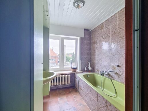 Brugge_Vierheems (9)