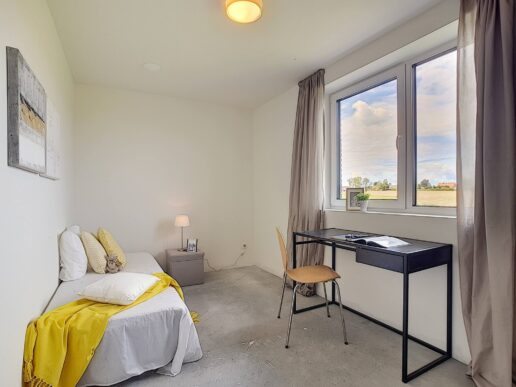 Asse - Projet Marlier - Elfjulistraat 4-18, Lot 13