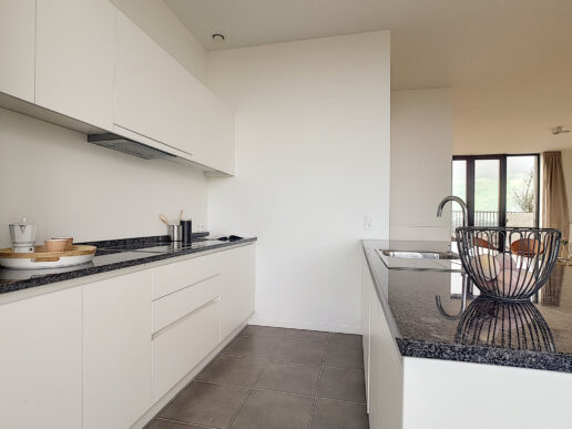 Evere – Project Fenix – app 11.05