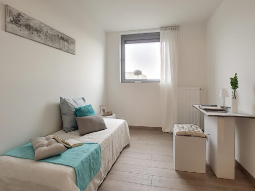 Sint-Niklaas – ‘t Fineer – app E3.1