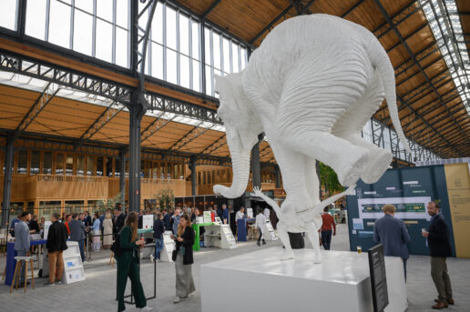 Realty – M-Ladies netwerkdrink